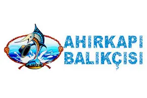 Back to Ahir Kapı Balance Sheet